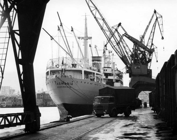 Terramare ferril shipping Jacky Maeder trasporti spedizioni camion nave cargo container